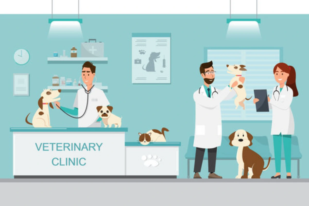 Imagem ilustrativa de Clínica veterinária 24 horas em Fortaleza