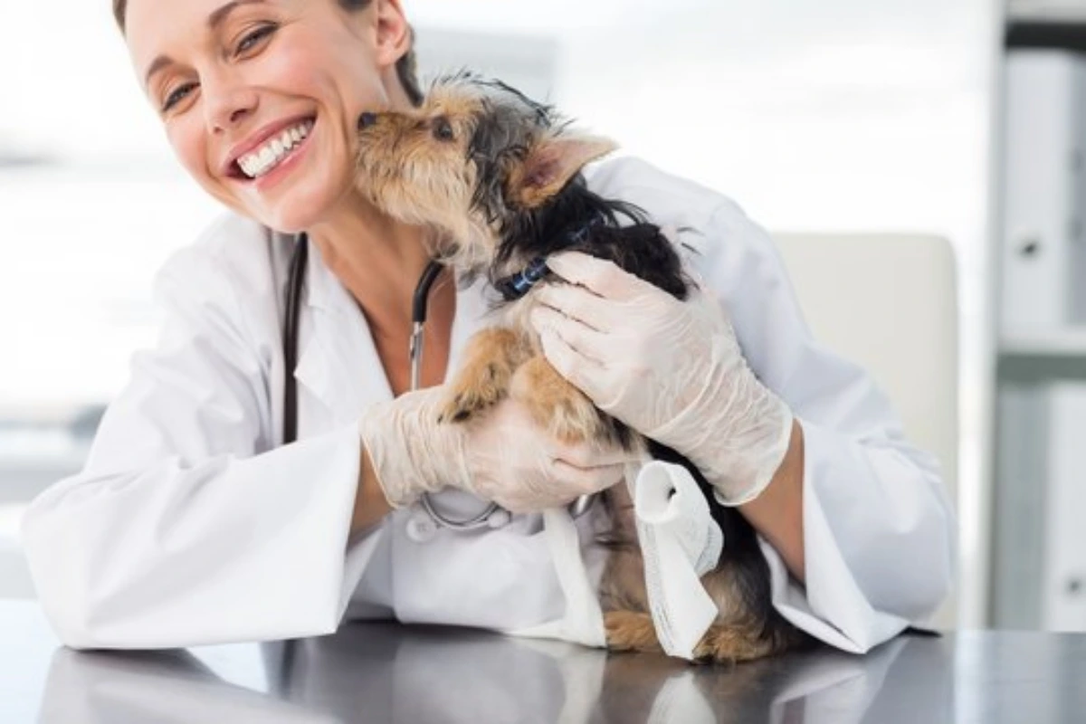 Hospital veterinário perto de mim em Fortaleza