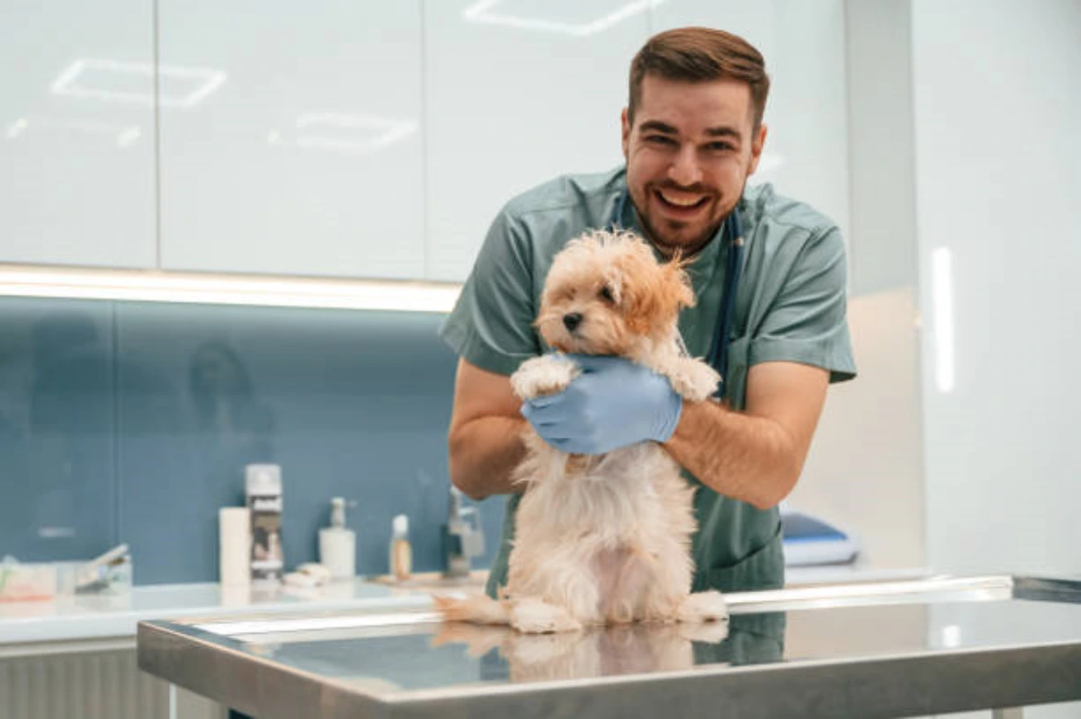 Hospital veterinário próximo a mim