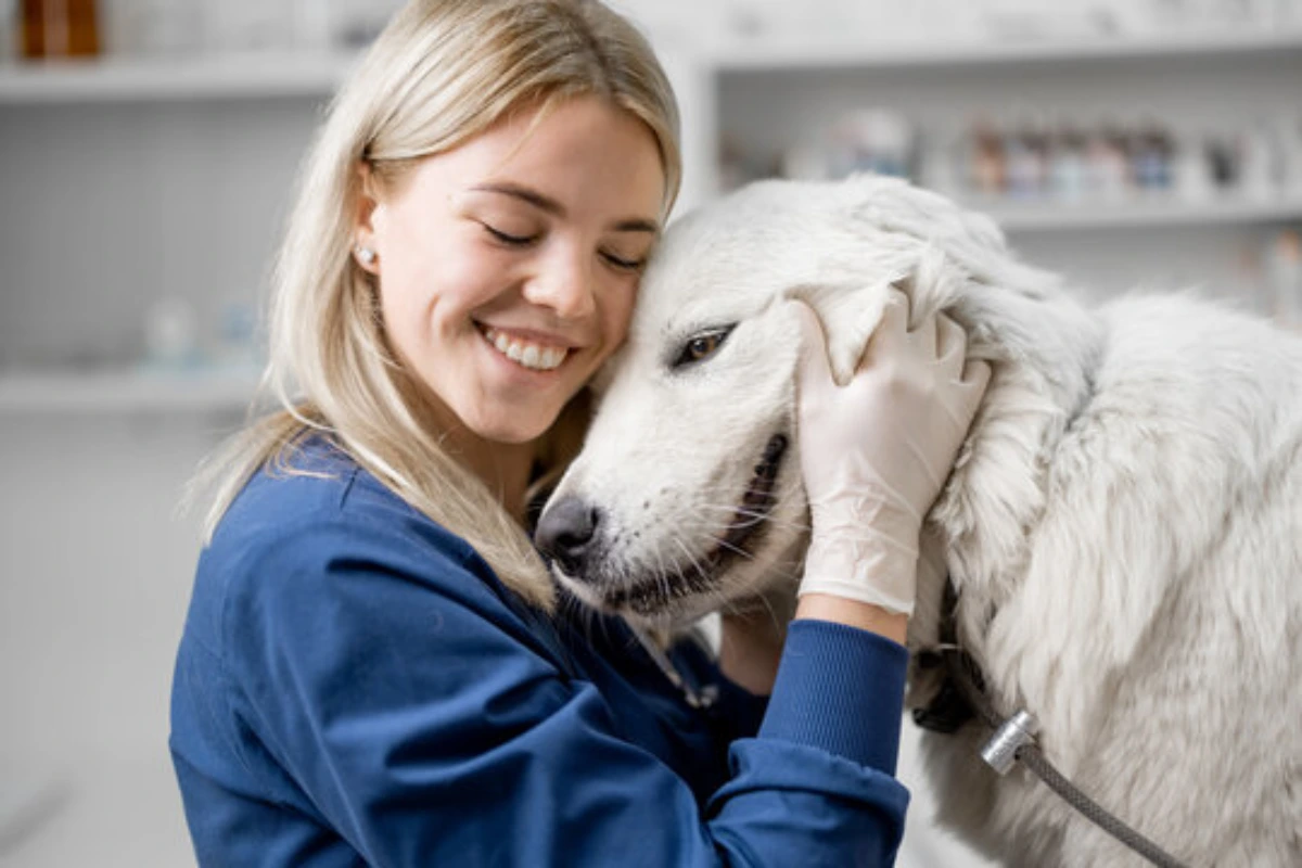 Ortopedista para cachorro